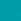 Petrol